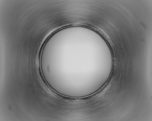 X0000112880891200908211049