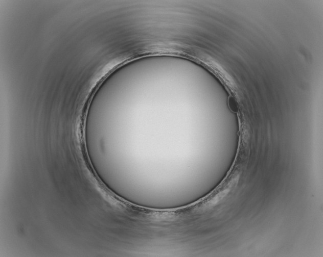 X0000112880893200908211049