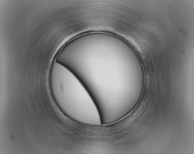 X0000112880895200908211049