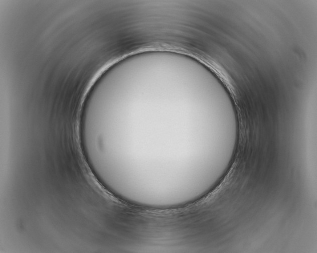 X0000112880896200908211049