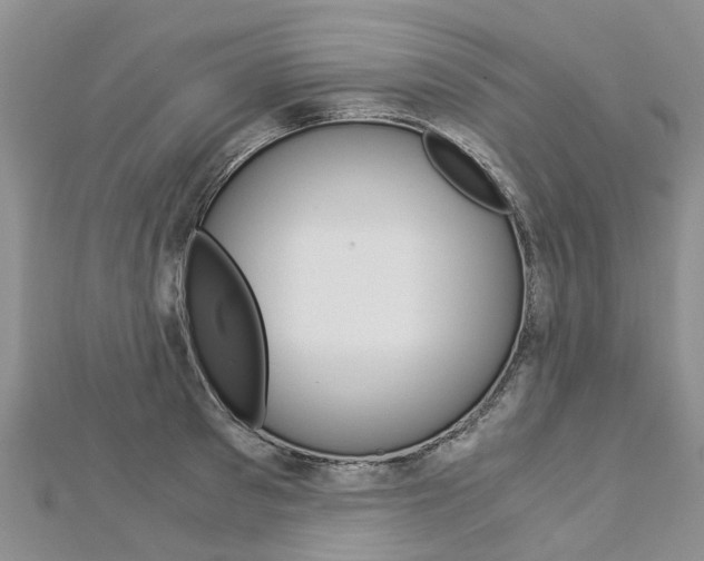 X0000112880897200908211049