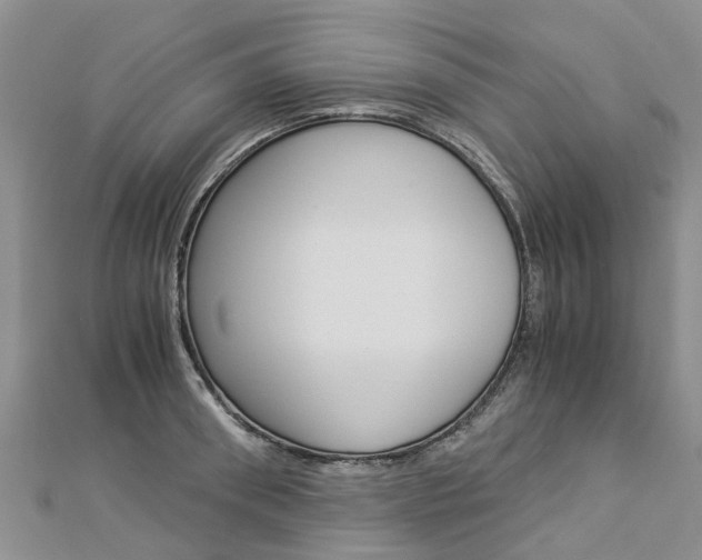X0000112880898200908211049