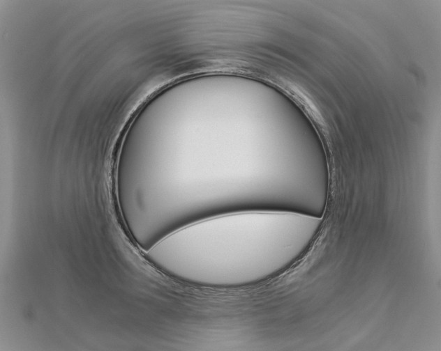 X0000112880899200908211049