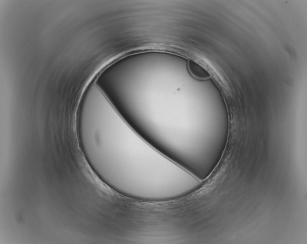 X0000112880900200908211049