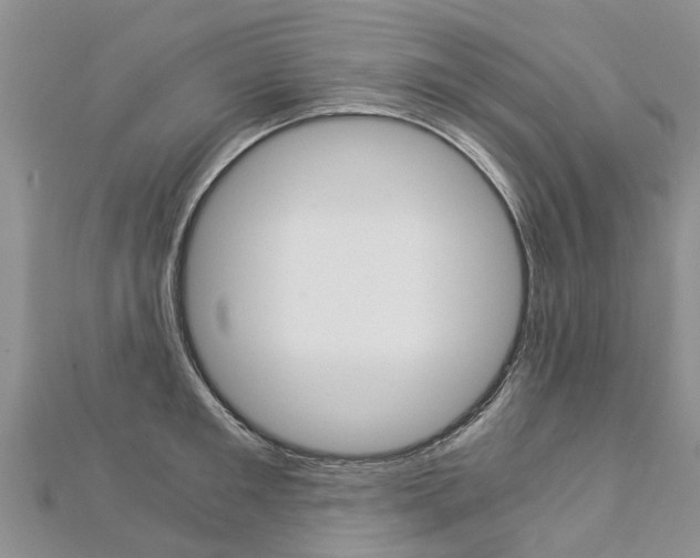 X0000112880901200908211049