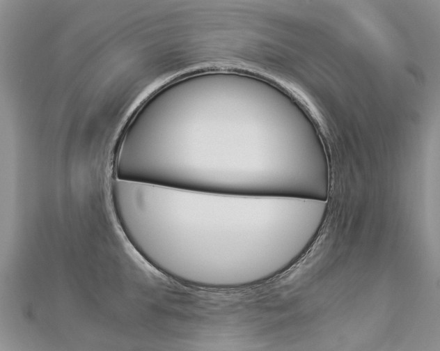 X0000112880903200908211049
