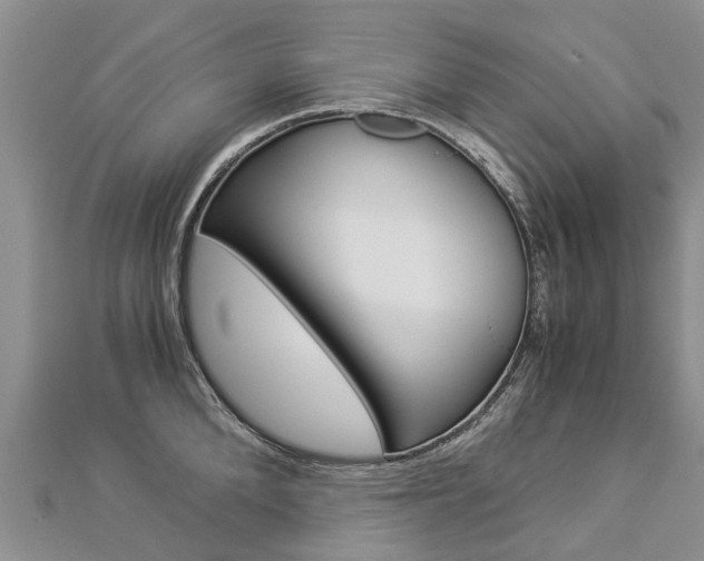X0000112880904200908211049