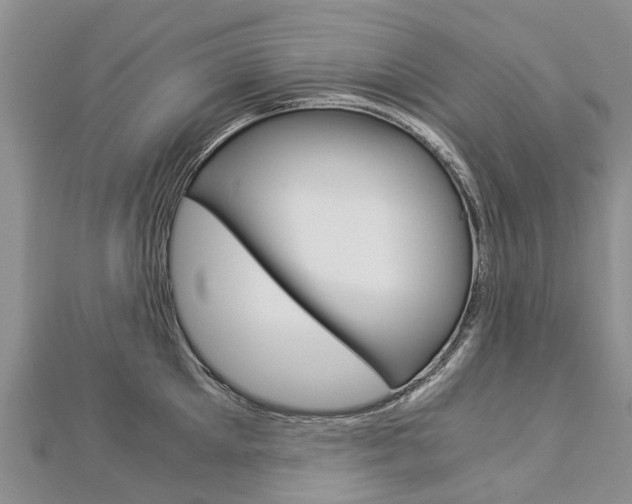 X0000112880905200908211049