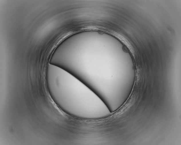 X0000112880906200908211049