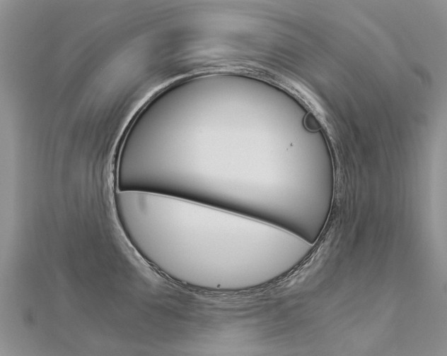 X0000112880907200908211049