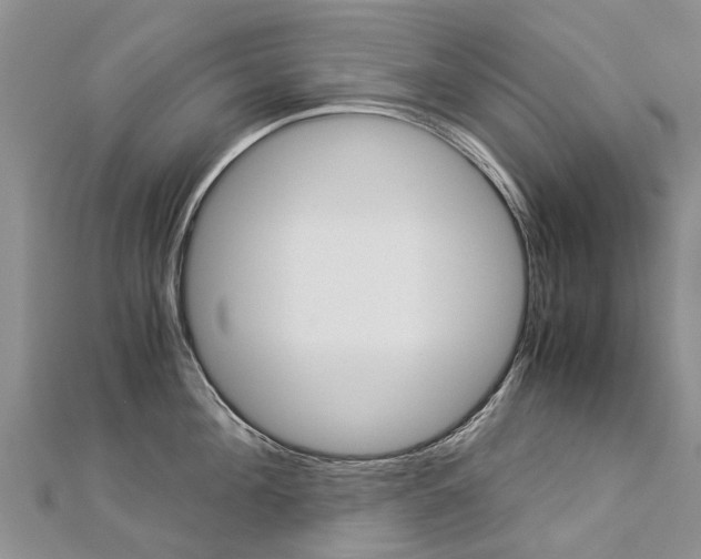 X0000112880908200908211048