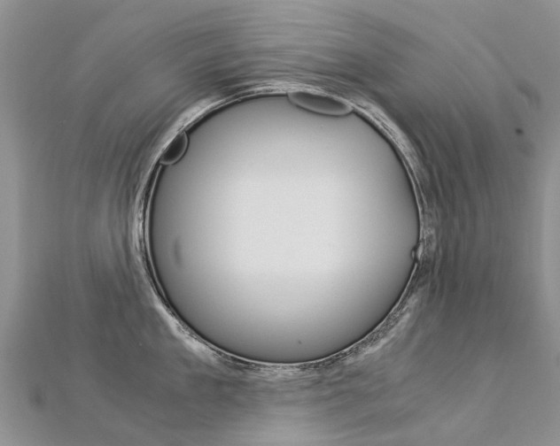 X0000112880909200908211048
