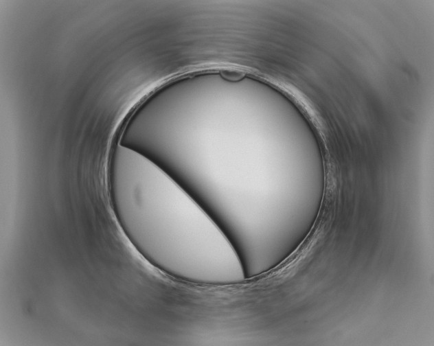 X0000112880910200908211048