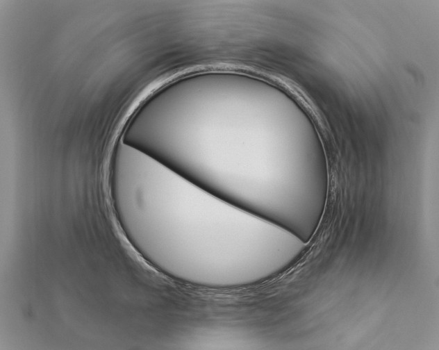 X0000112880911200908211048