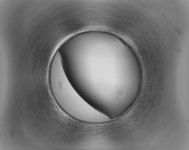 X0000112880912200908211048
