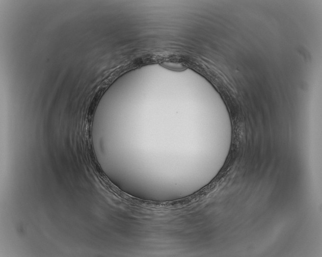 X0000112880914200908211048