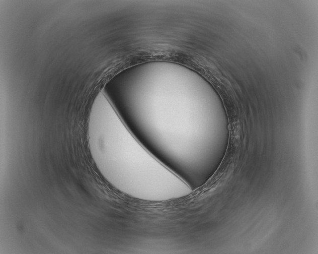 X0000112880916200908211048