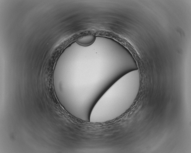 X0000112880919200908211048