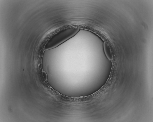 X0000112880920200908211048