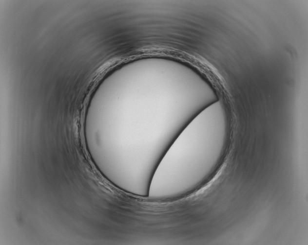 X0000112880921200908211048