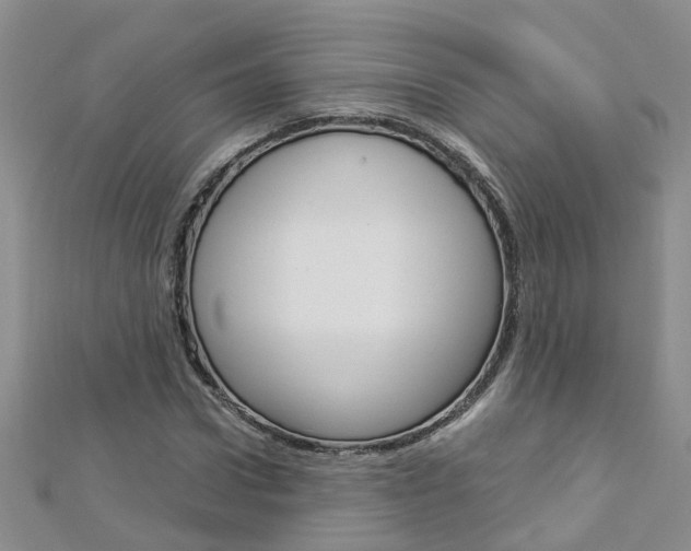 X0000112880922200908211048