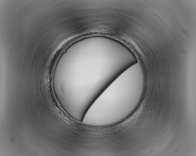 X0000112880923200908211048