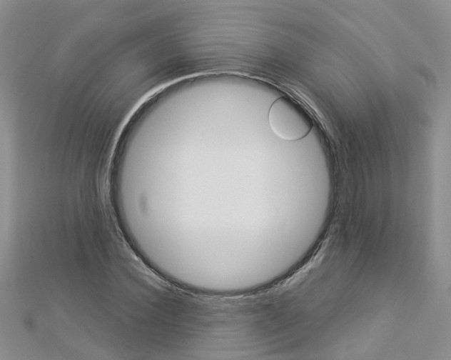 X0000112880924200908211048