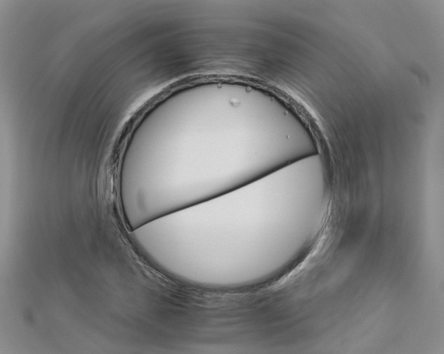 X0000112880925200908211048