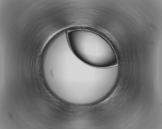 X0000112880926200908211048