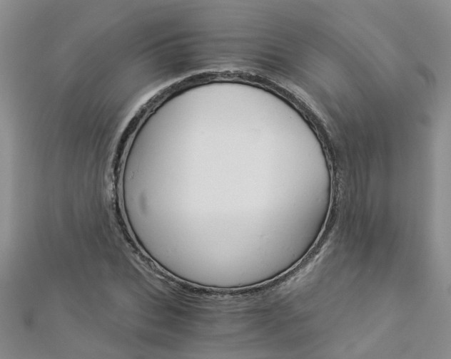 X0000112880927200908211048