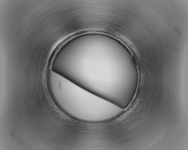 X0000112880928200908211048