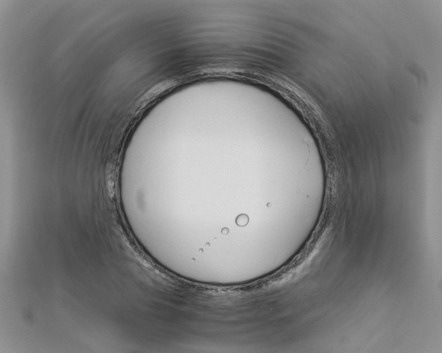 X0000112880929200908211048