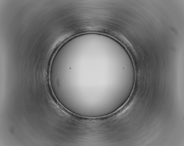 X0000112880930200908211048