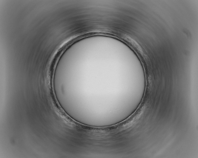 X0000112880931200908211048