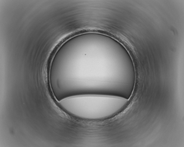 X0000112880934200908211048
