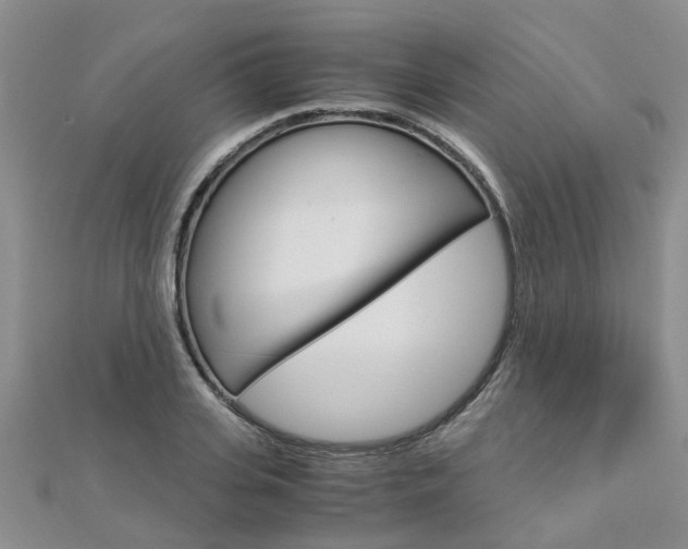 X0000112880935200908211048