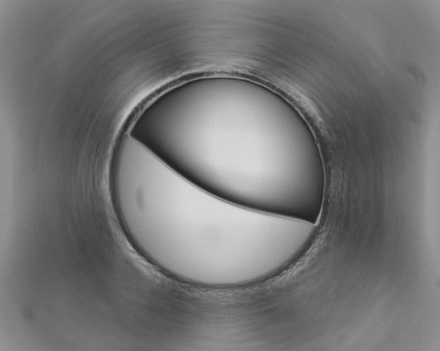 X0000112880936200908211048