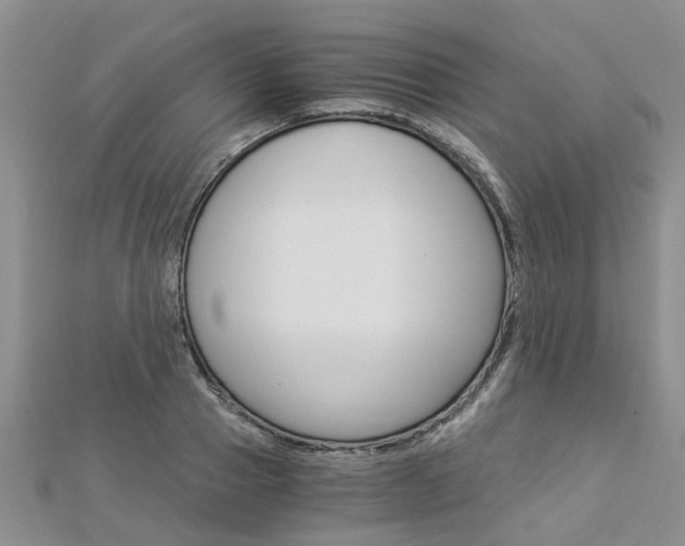 X0000112880937200908211048