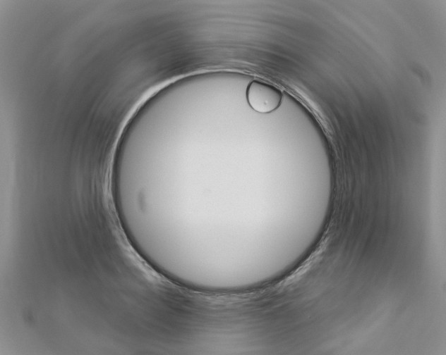 X0000112880940200908211048