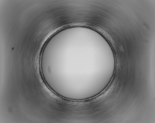X0000112880941200908211048