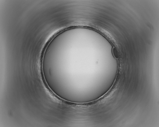 X0000112880942200908211048