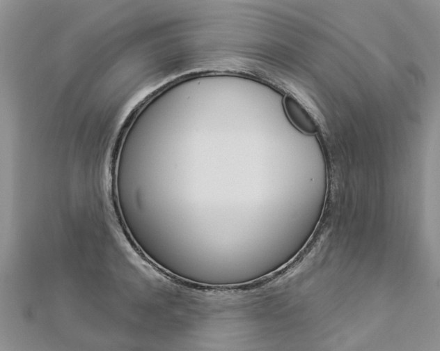 X0000112880944200908211048