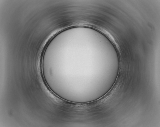 X0000112880947200908211048