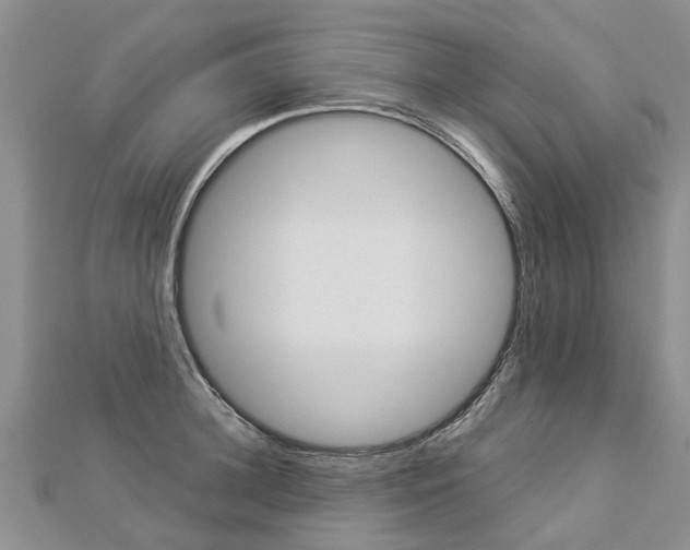 X0000112880948200908211048