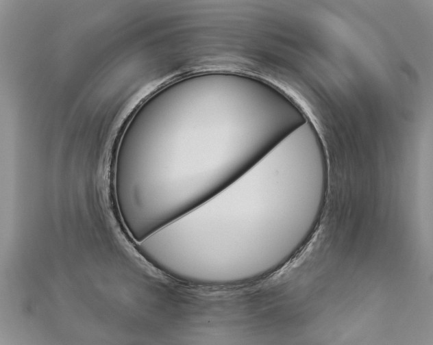 X0000112880949200908211048
