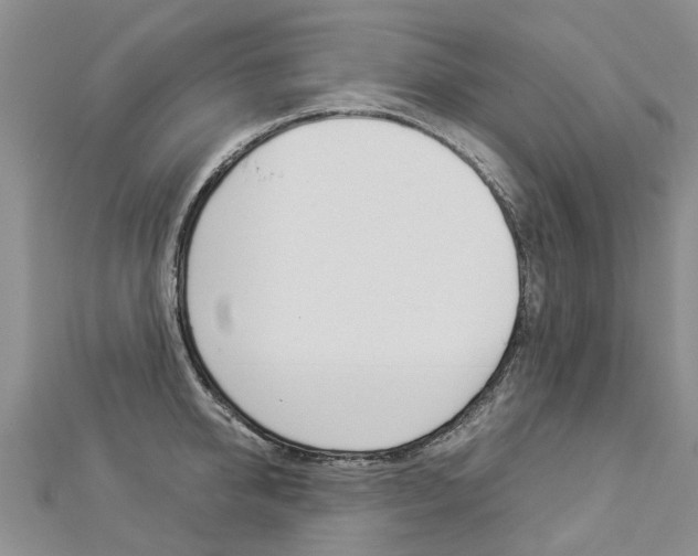 X0000112880950200908211048