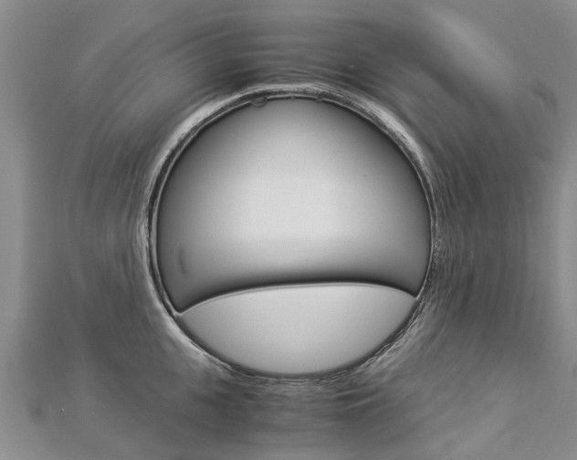 X0000112880951200908211048