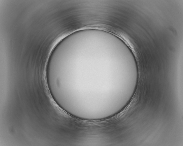 X0000112880952200908211048