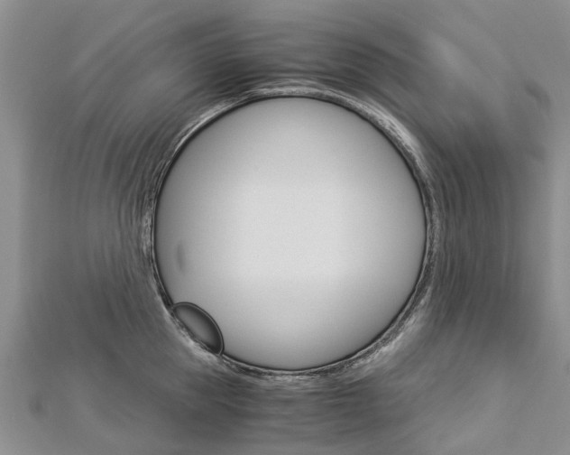 X0000112880953200908211048