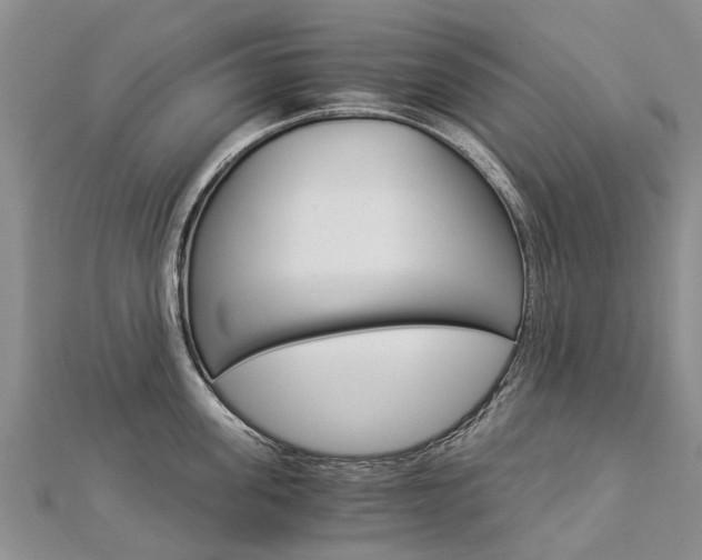 X0000112880955200908211048